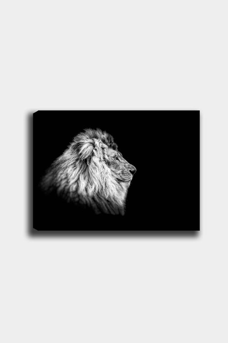 Wallity Lienzo Decorativo Multicolor 50 x 70 cm